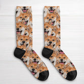65685f099d3cf_large.webp
